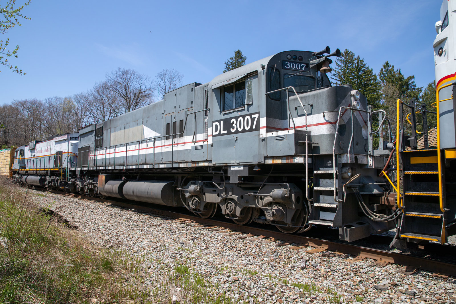 DL 3007