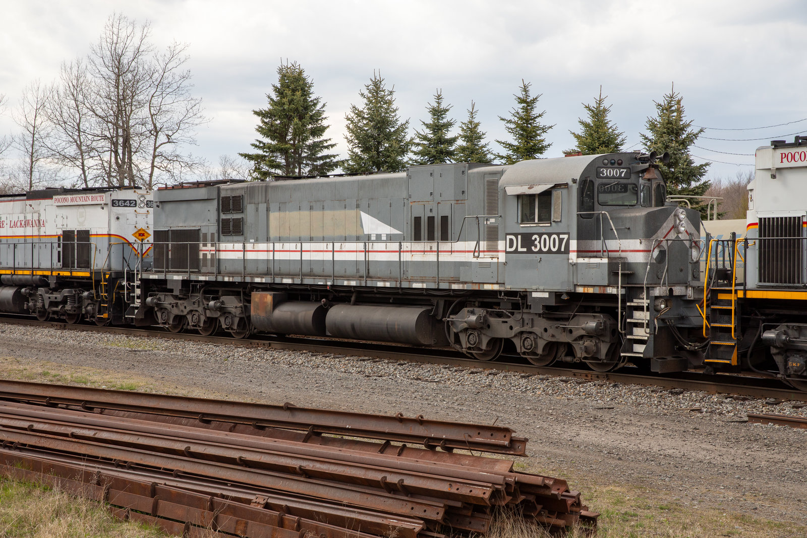 DL 3007