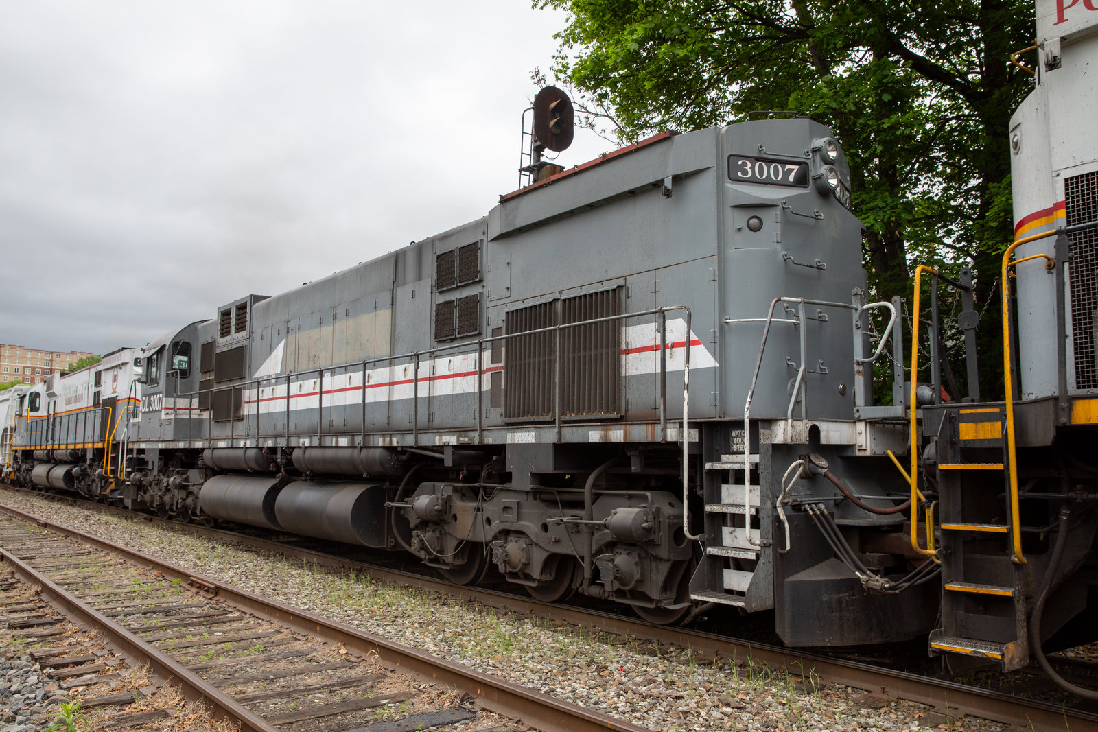 DL 3007