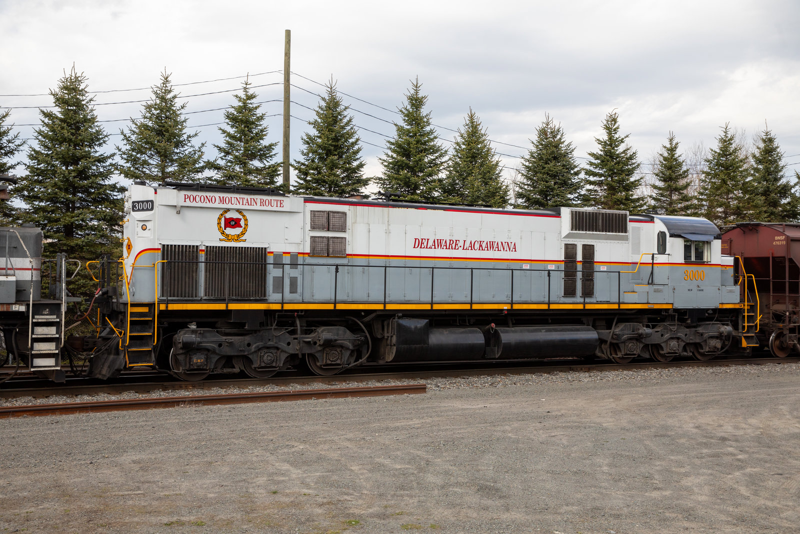 DL 3000