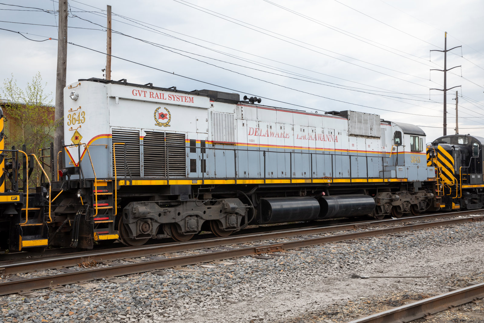DL 3643