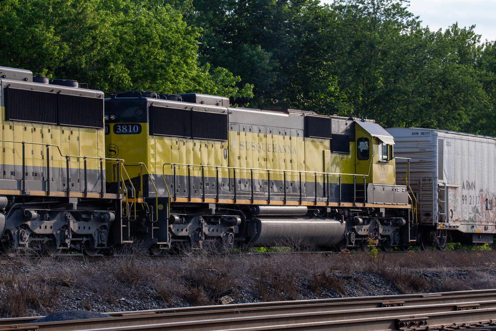 NYSW 3810