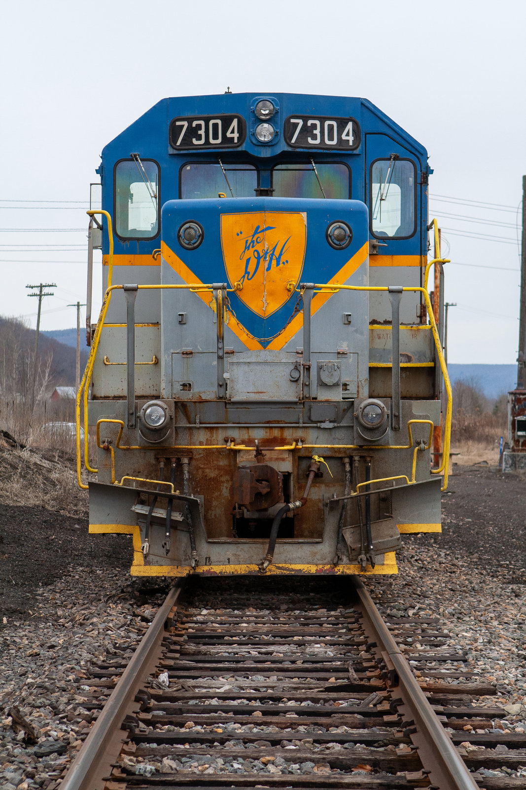 DH 7304