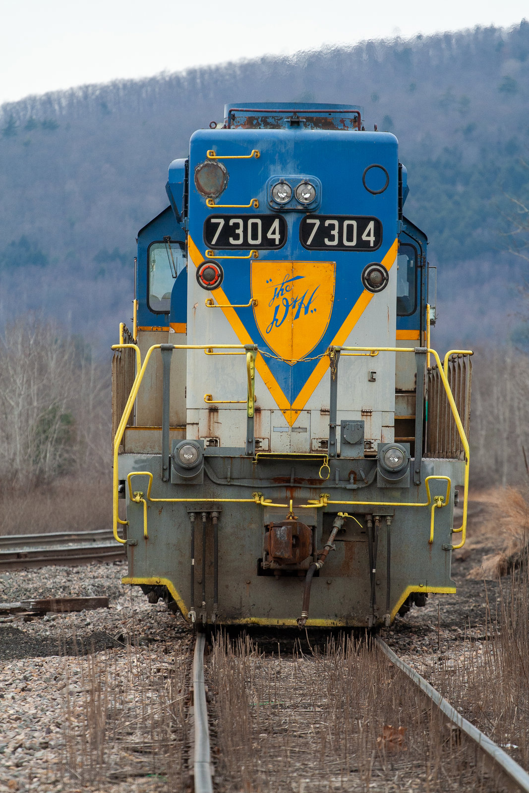 DH 7304