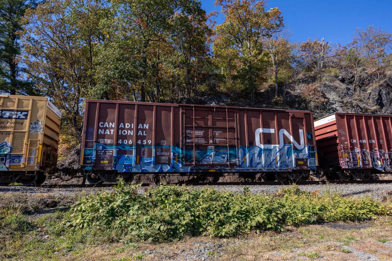 GTW 406459