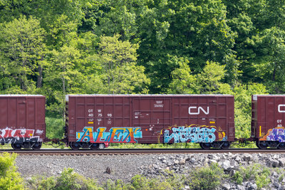 GTW 407598