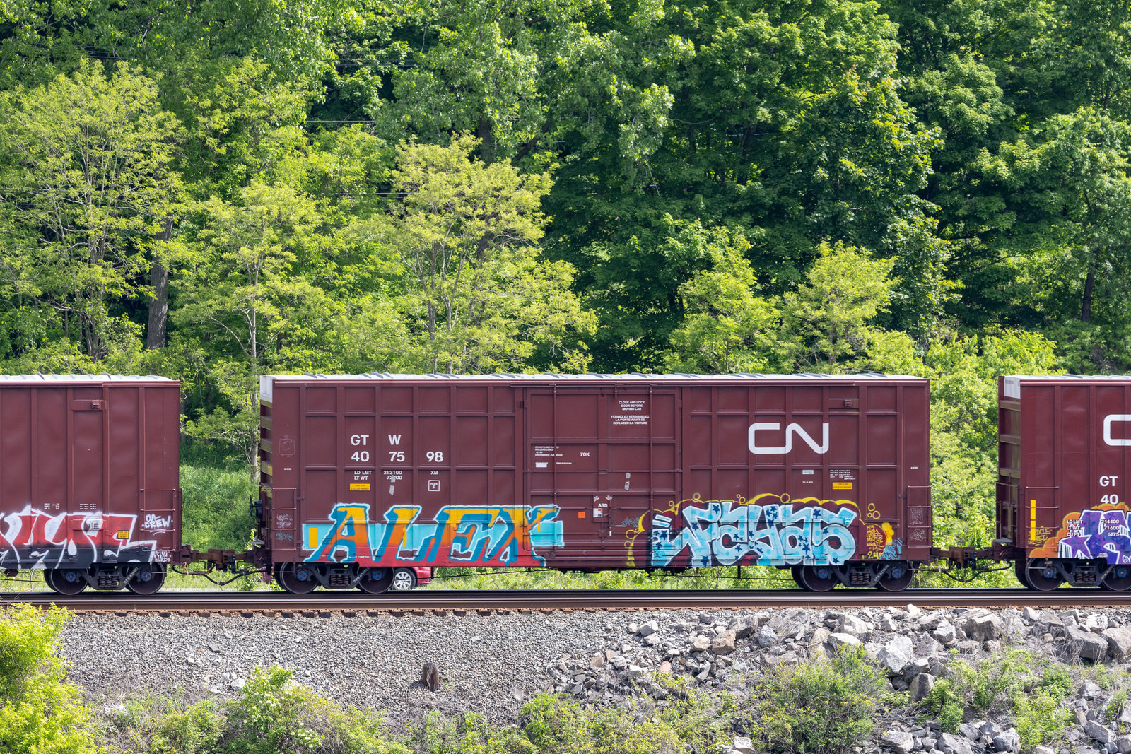 GTW 407598
