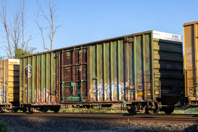 IBT 19175