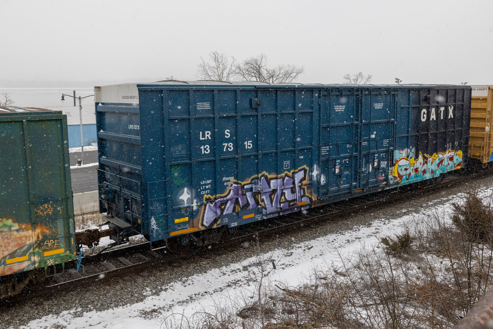 LRS 137315