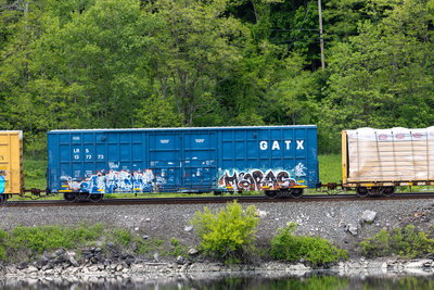 LRS 137273