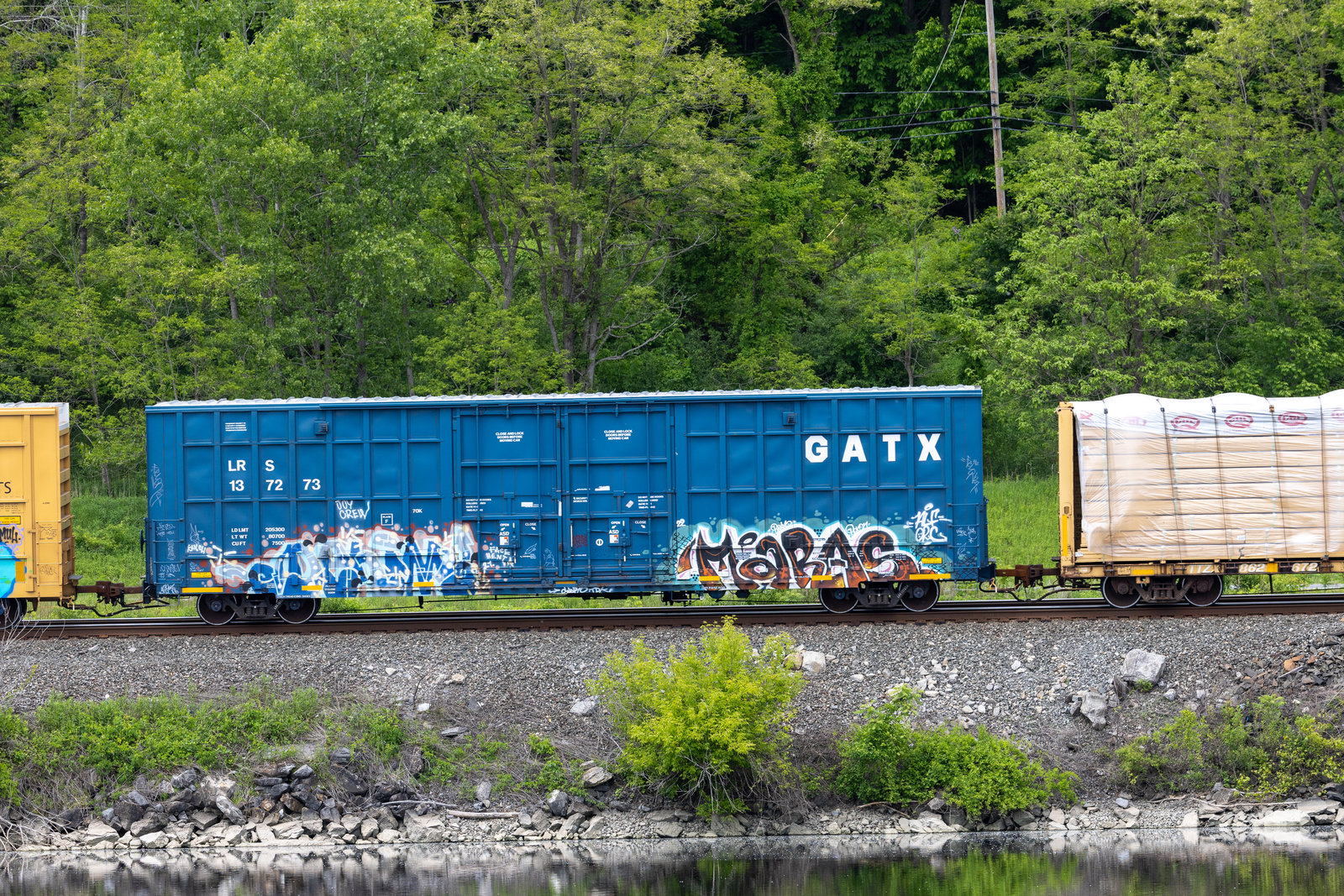 LRS 137273