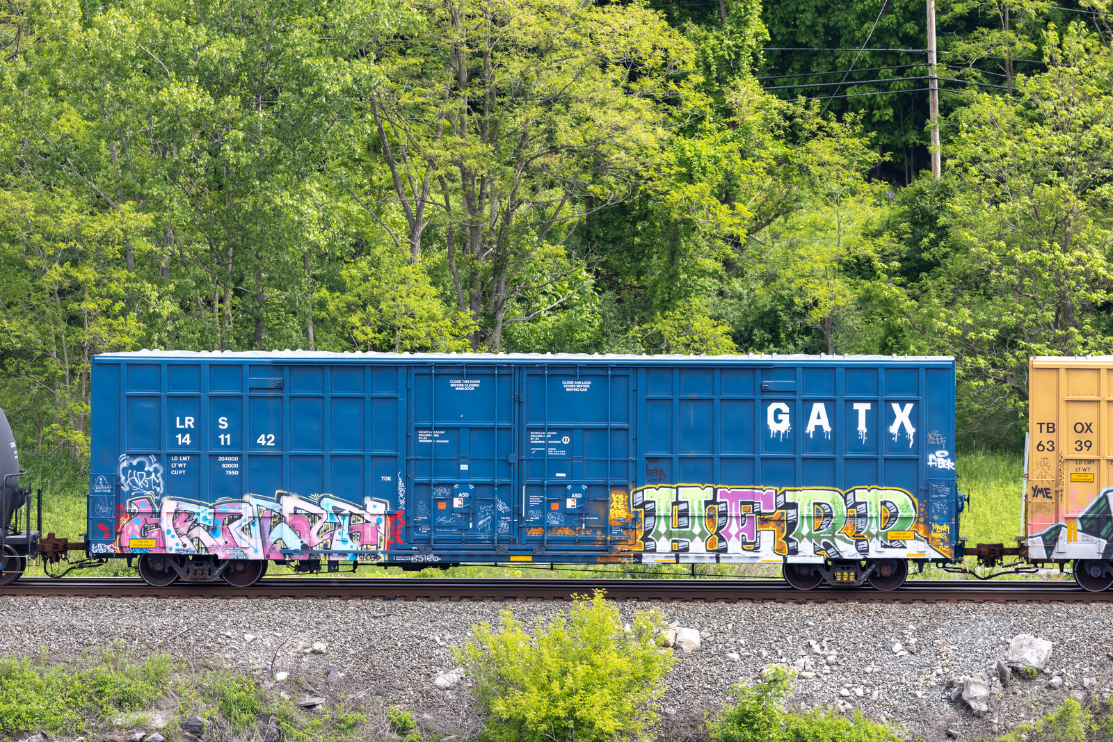 LRS 141142
