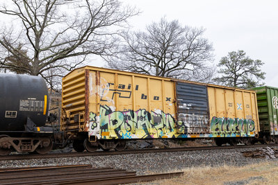 RBOX 36591