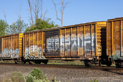RBOX 33121
