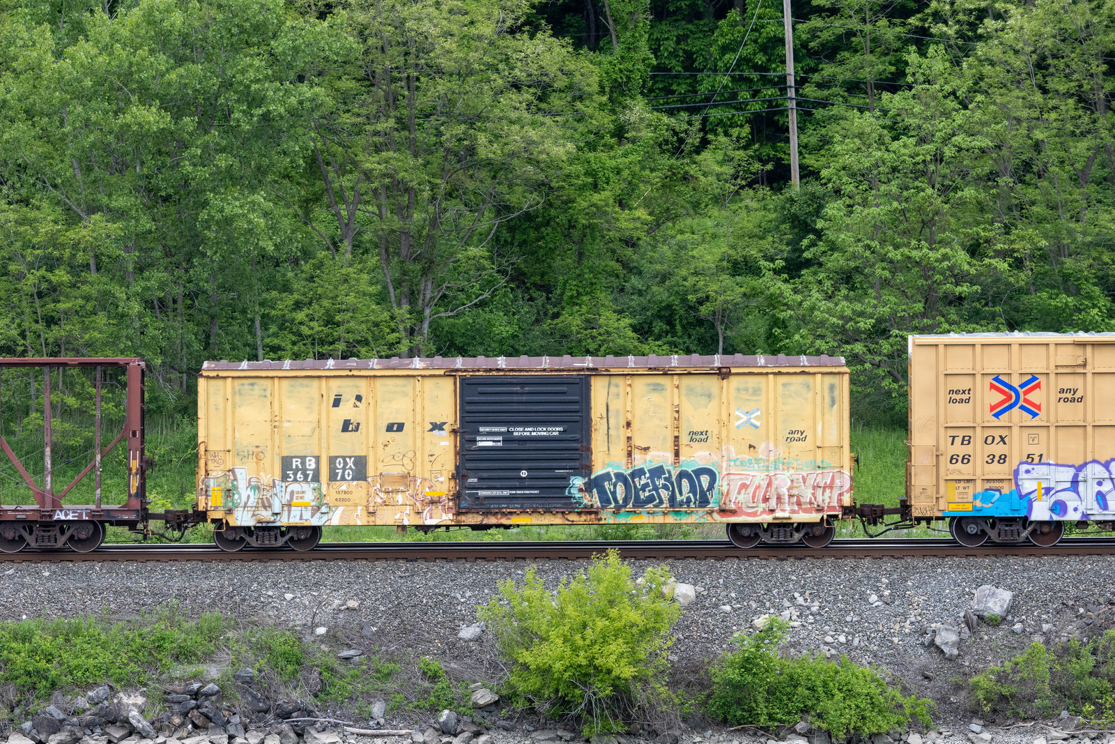 RBOX 36770