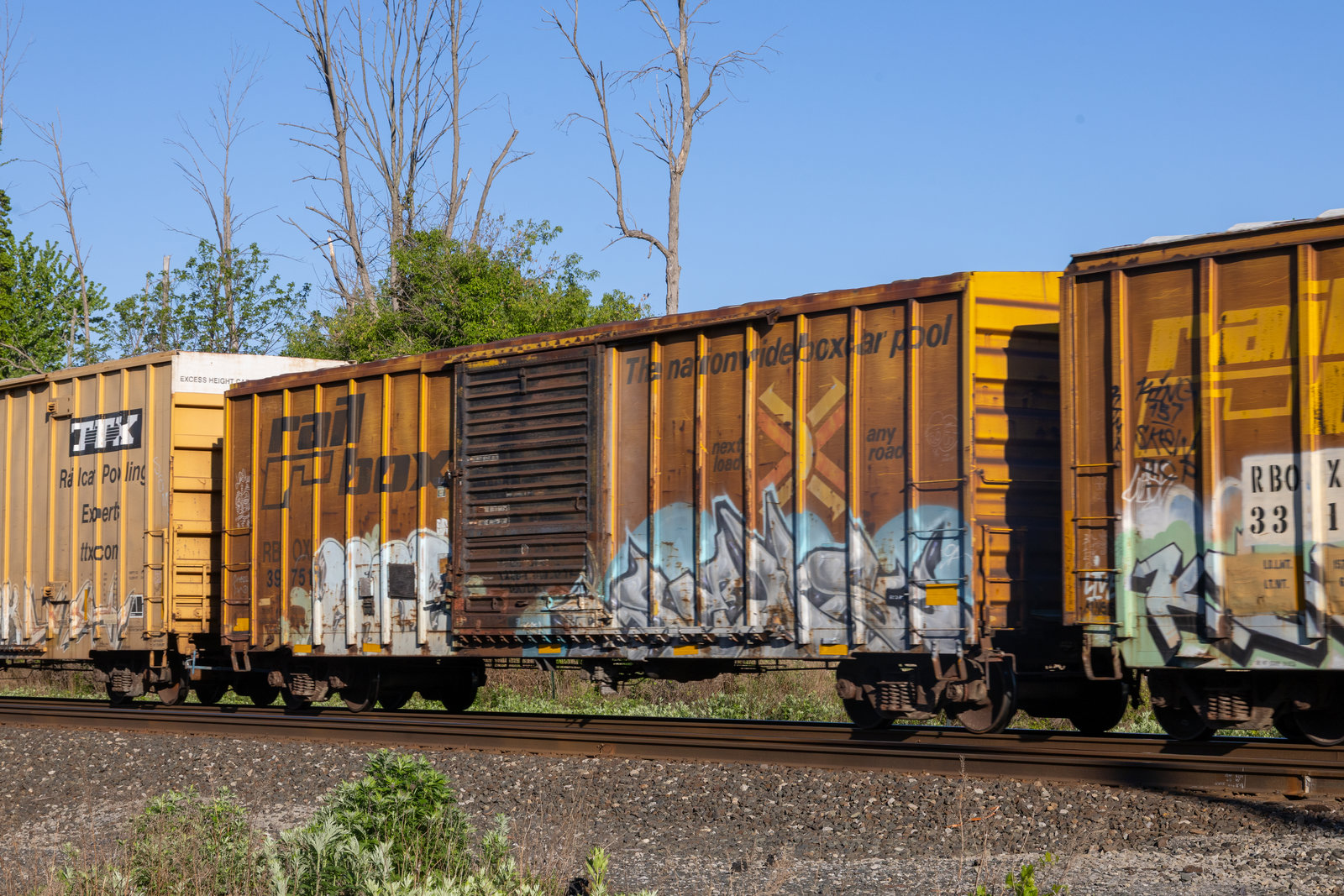 RBOX 39751