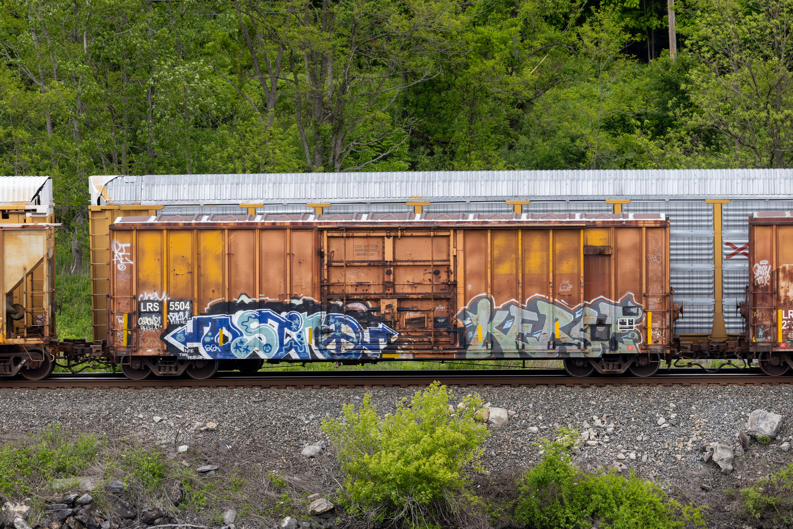 LRS 5504