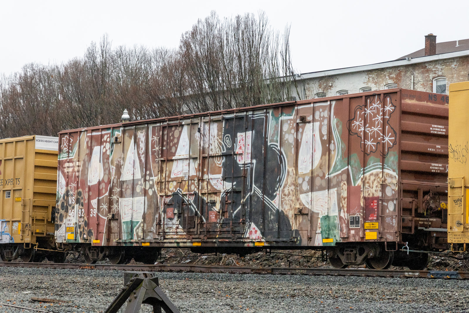 NS 469239