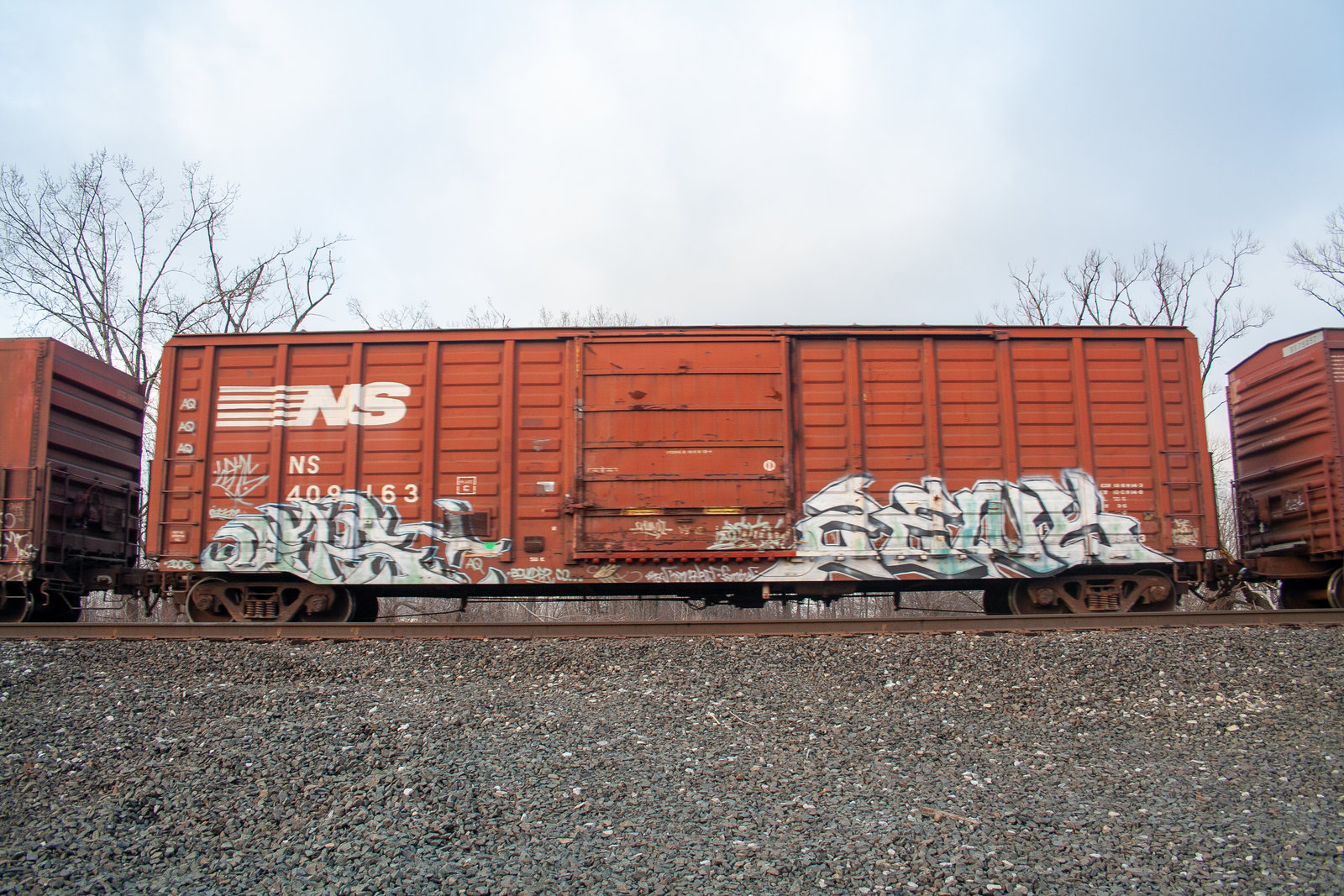 NS 409163