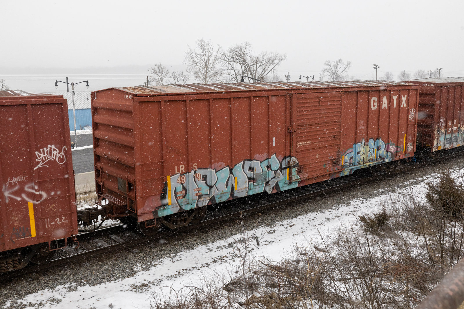LRS 4919