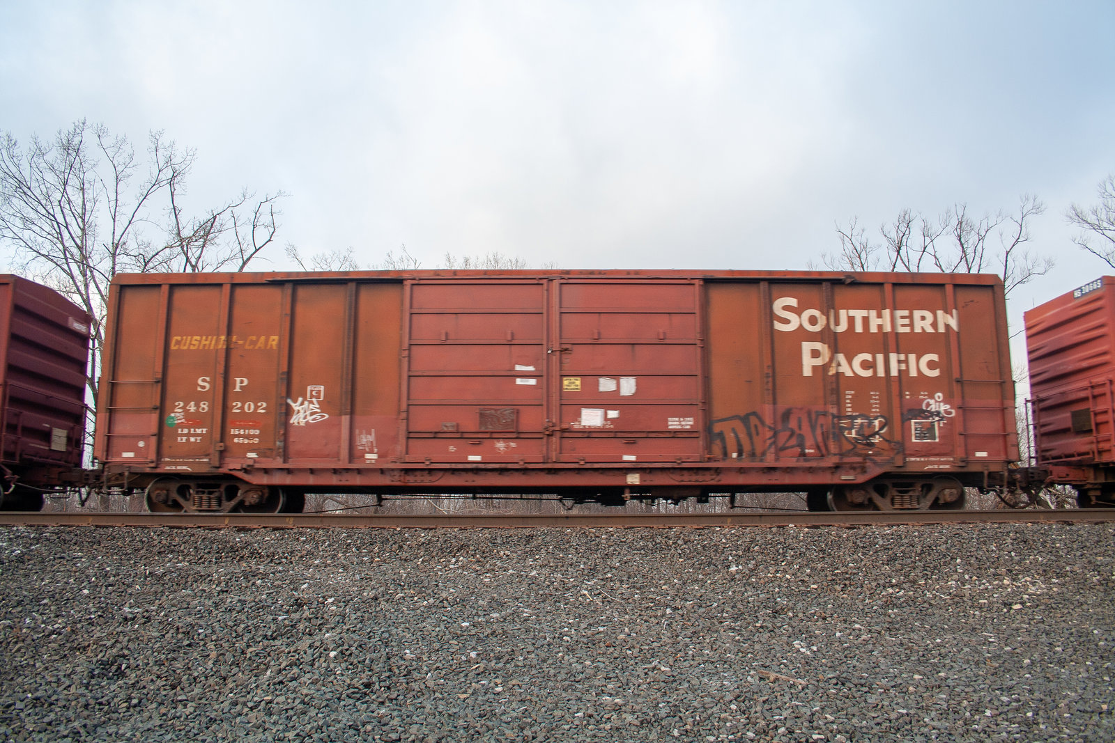 SP 248202