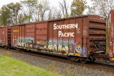 SP 246137