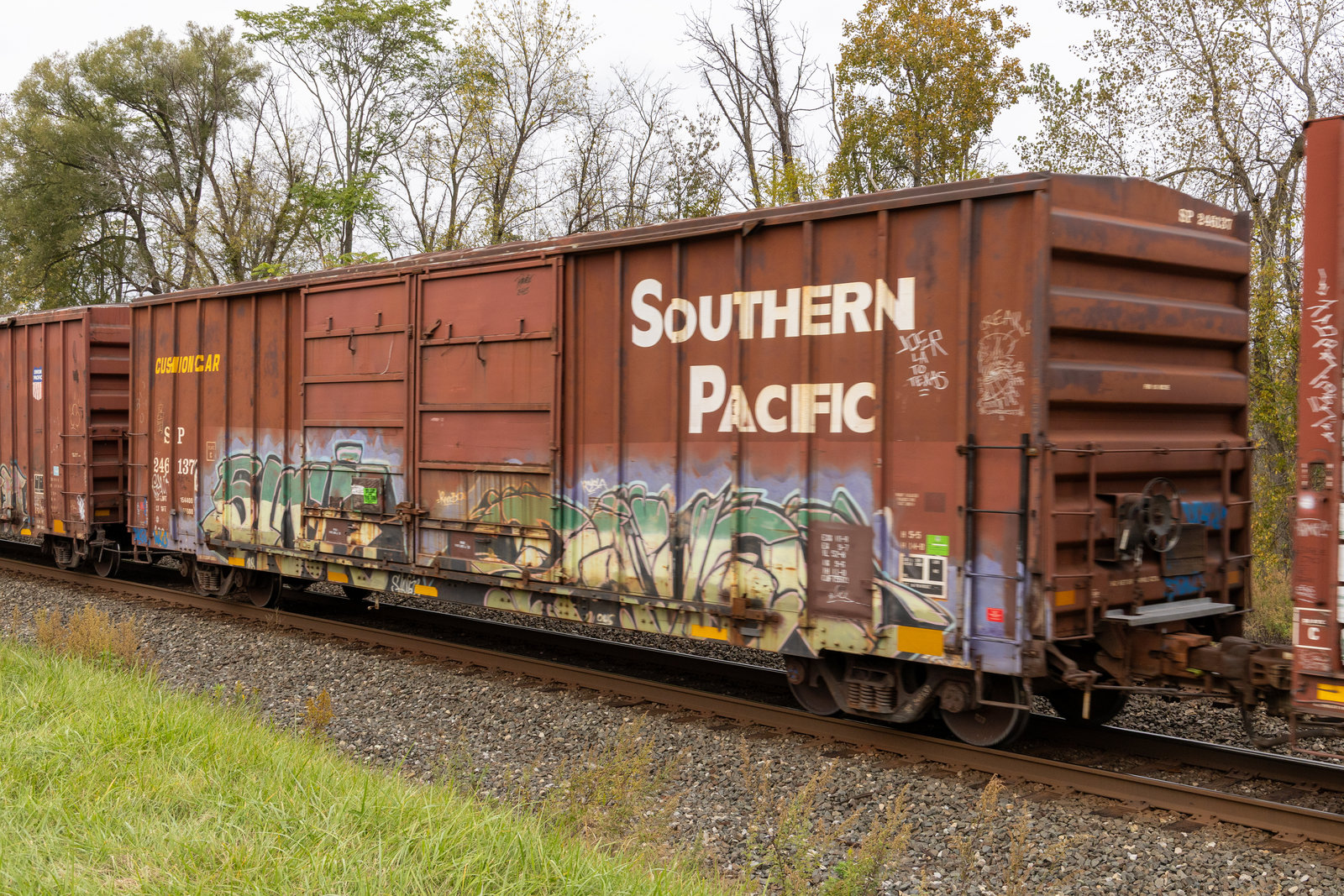 SP 246137
