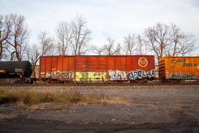 MP 376696