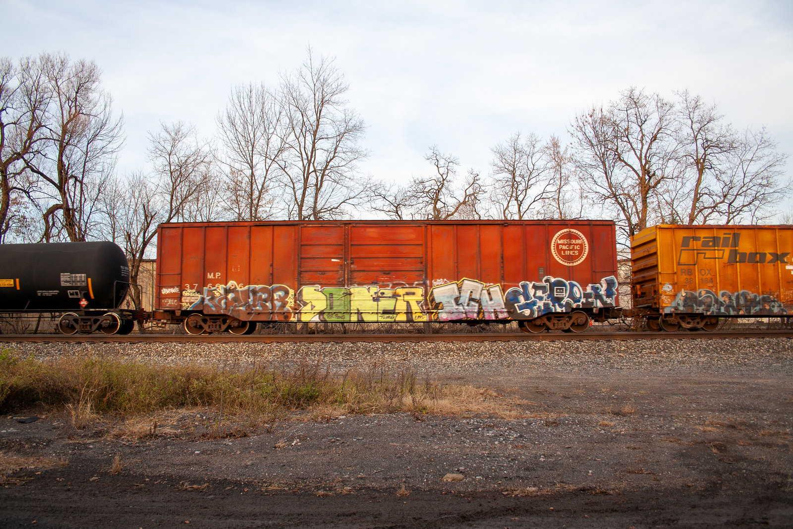 MP 376696