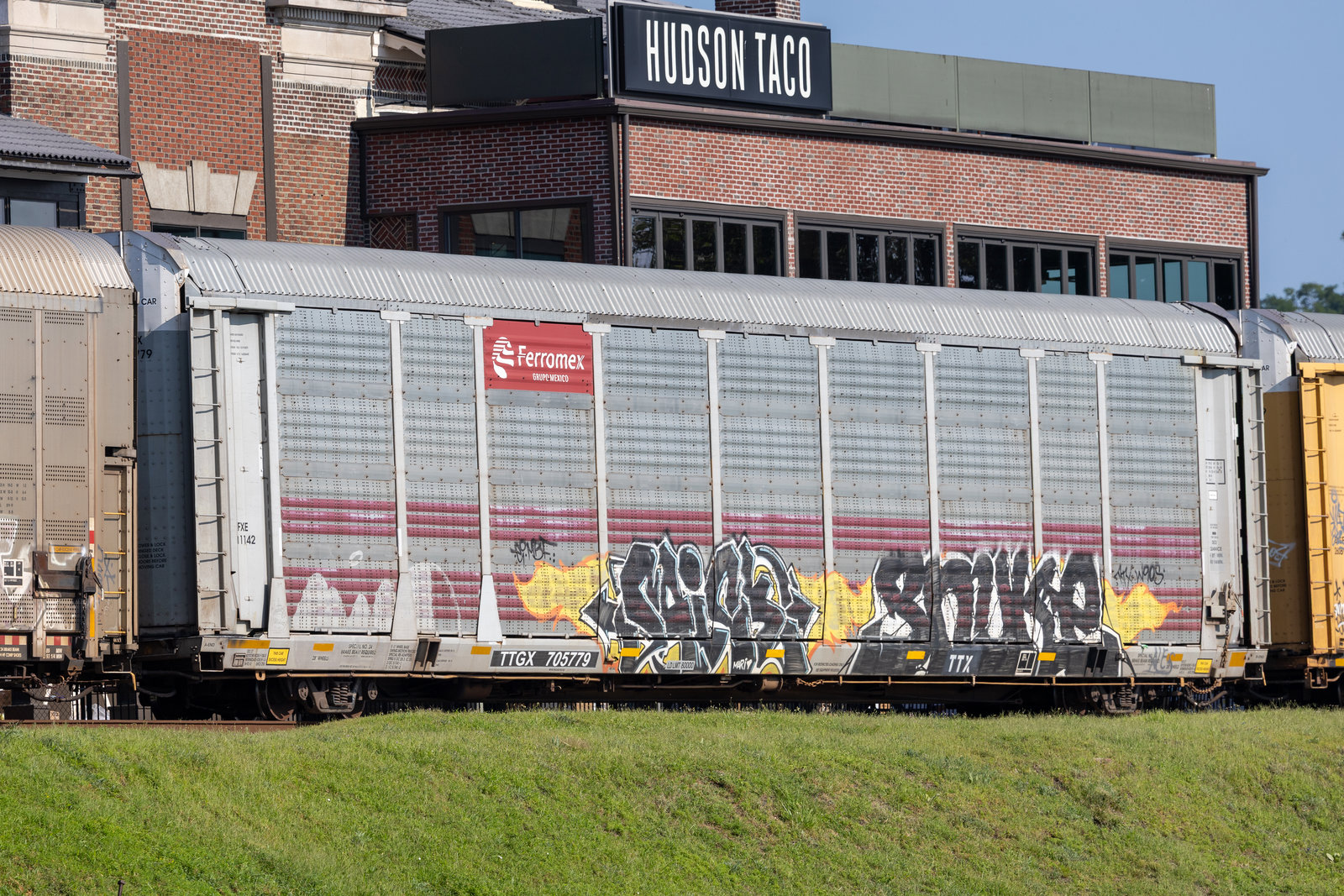 TTGX 705779
