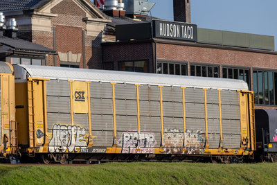 TTGX 975669