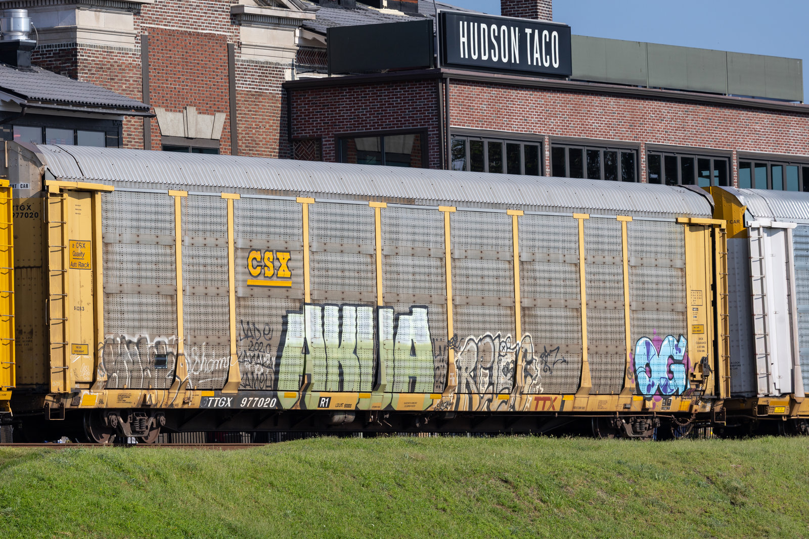 TTGX 977020