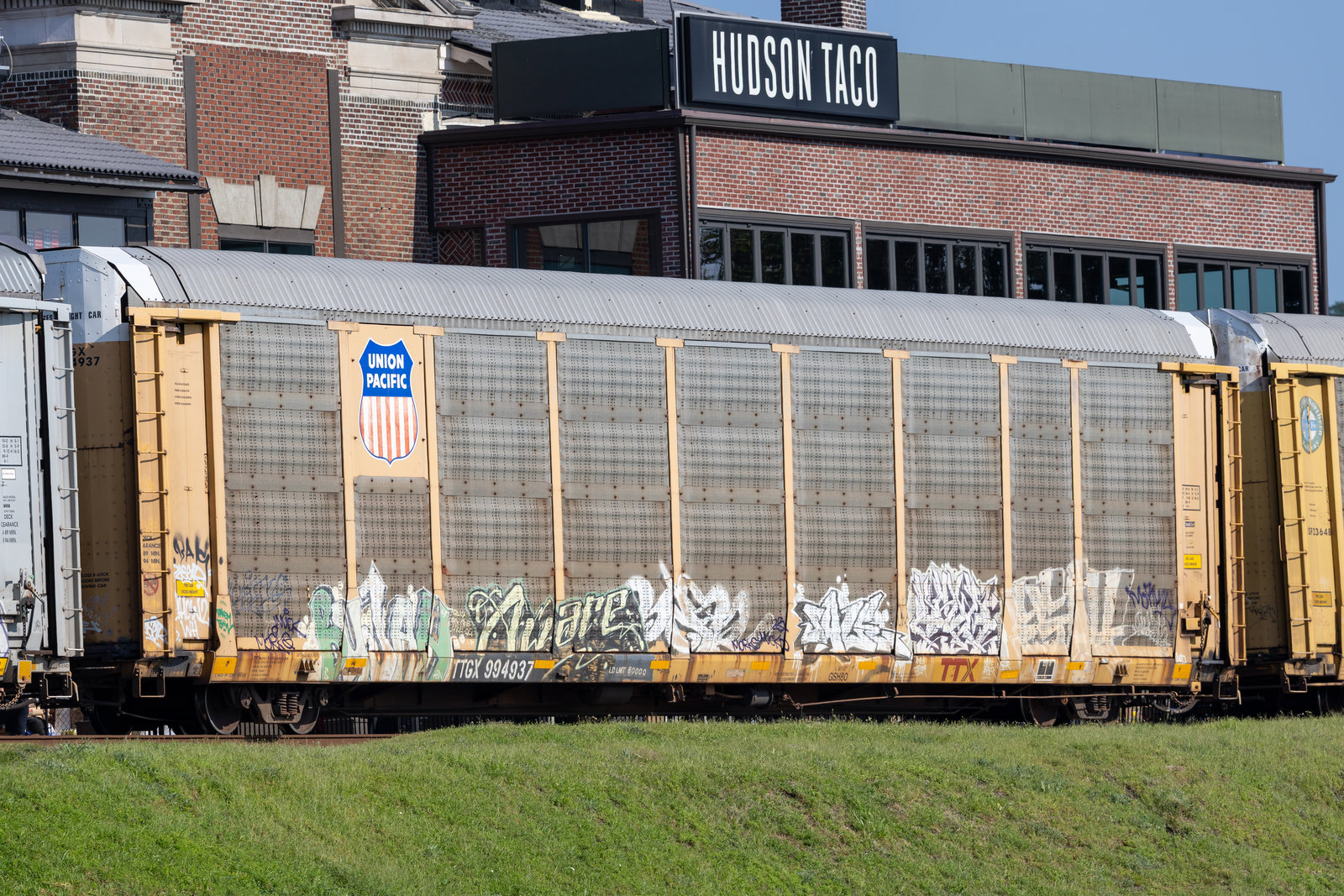TTGX 994937