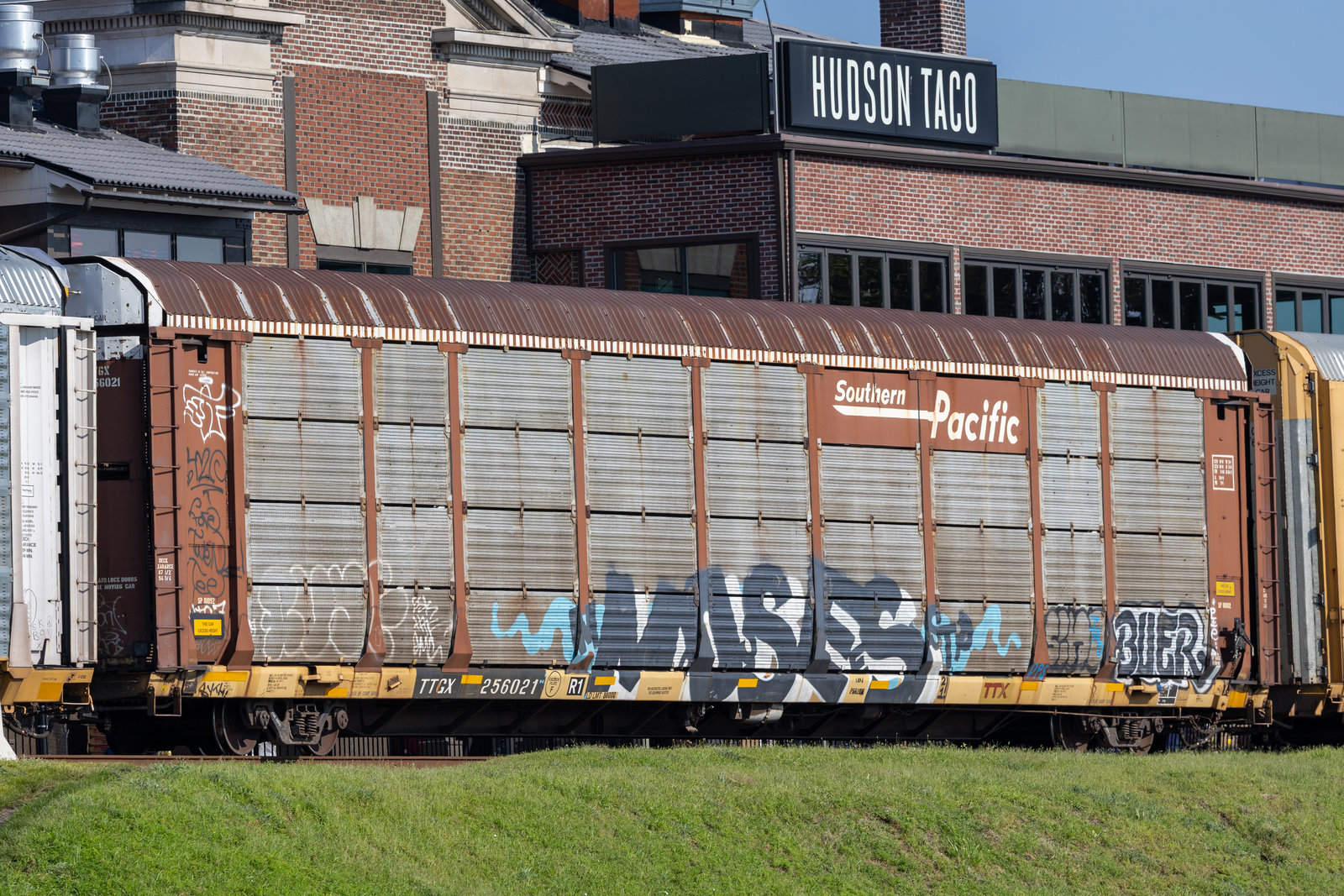 TTGX 256021
