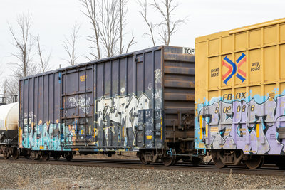 TOFX 887117