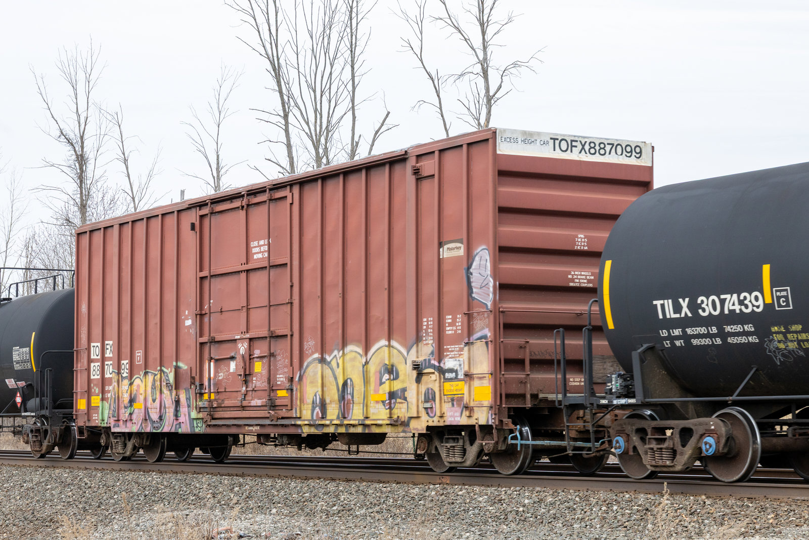 TOFX 887099