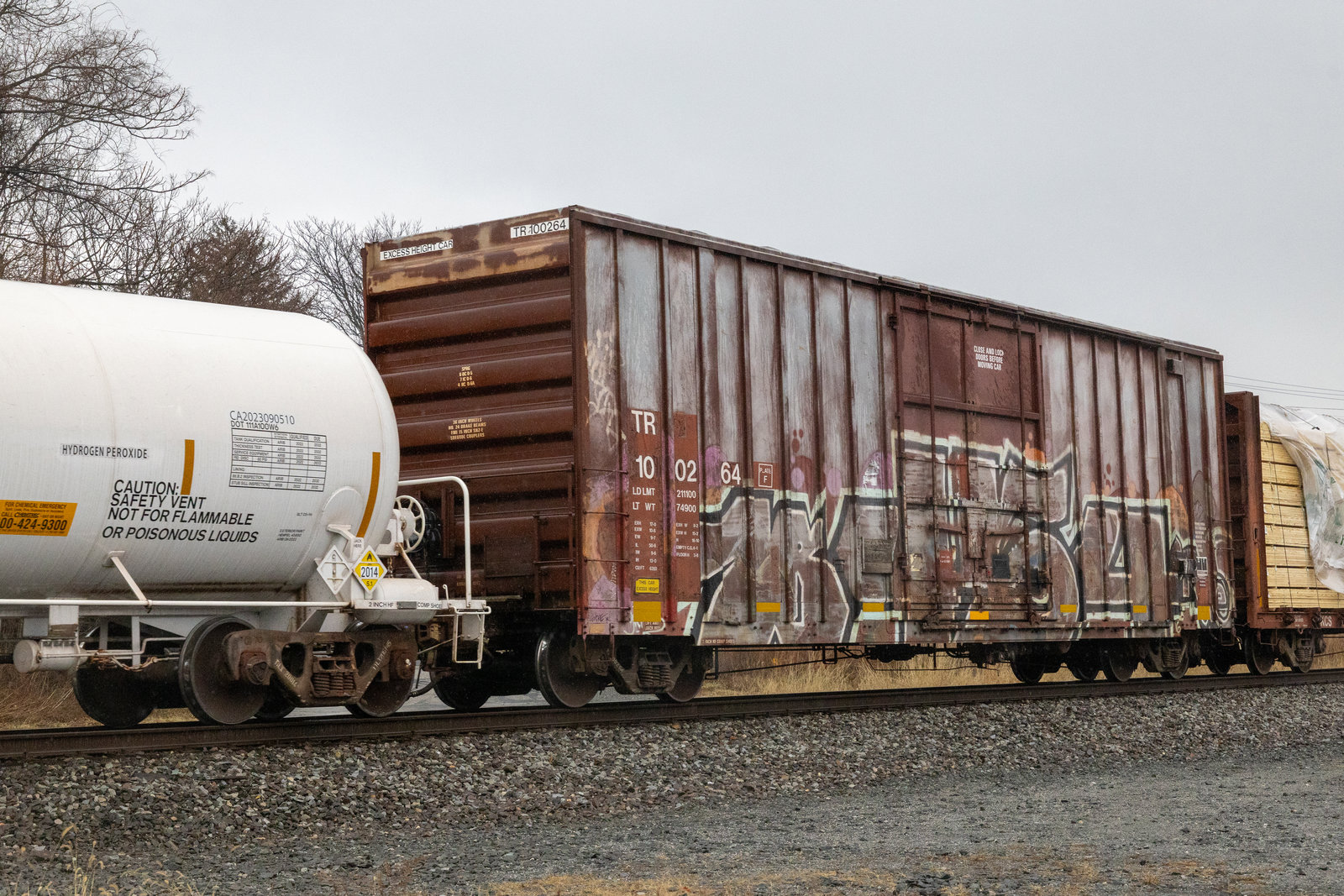 TR 100264