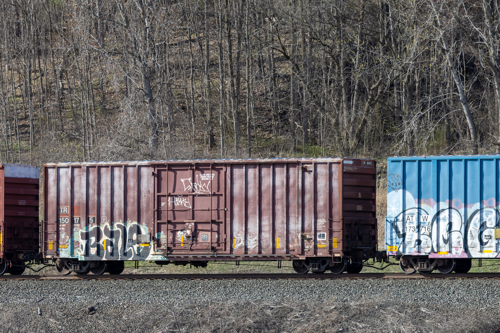 TR 150175