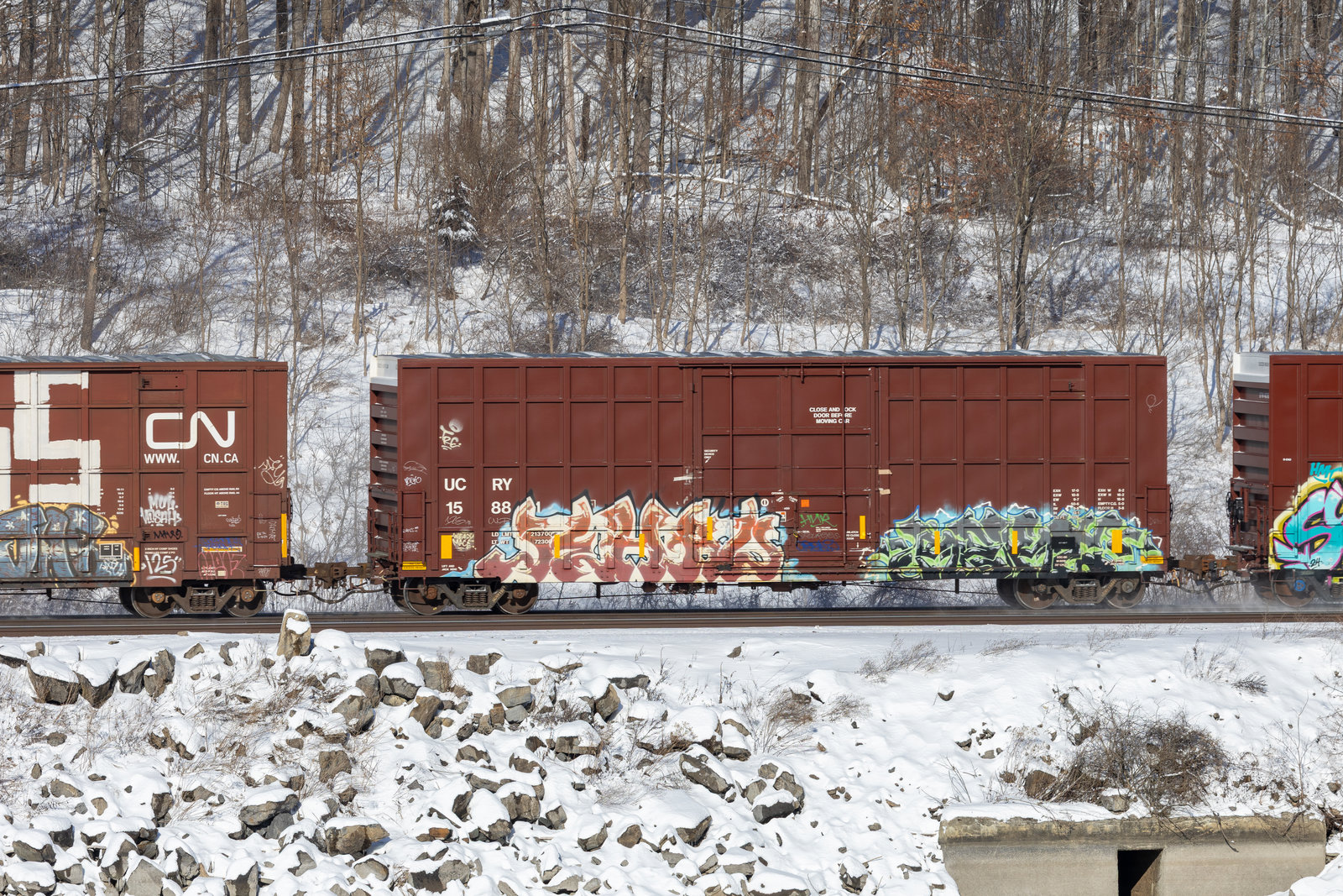 UCRY 15881