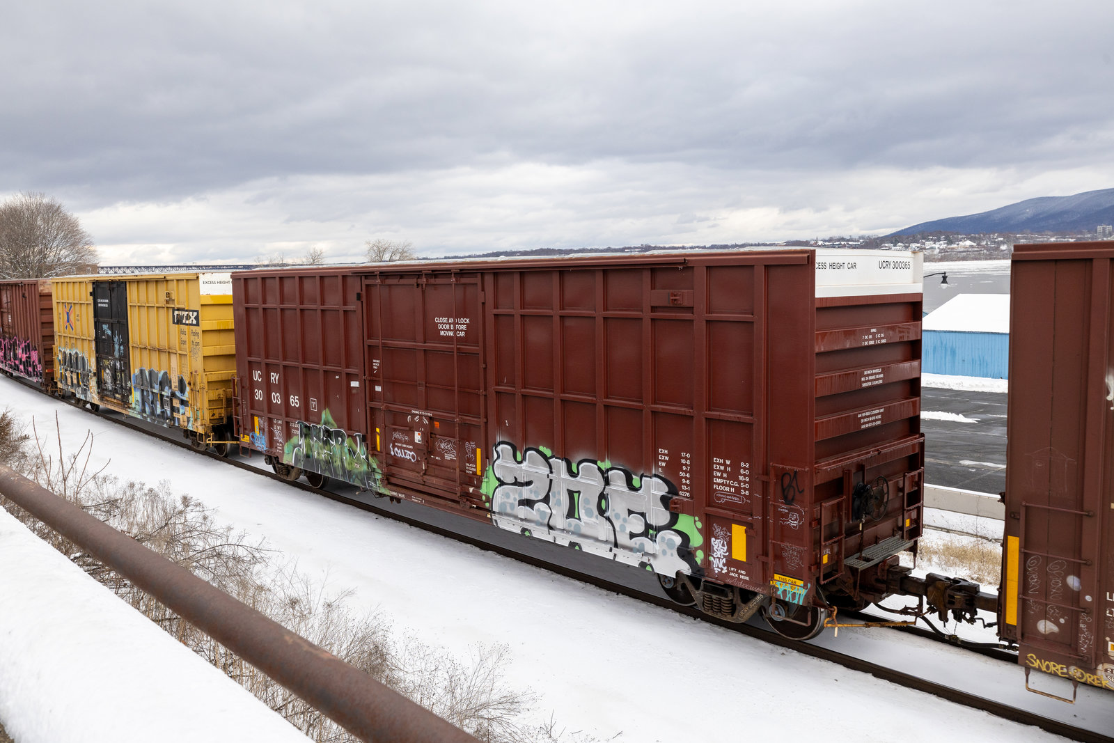 UCRY 300365