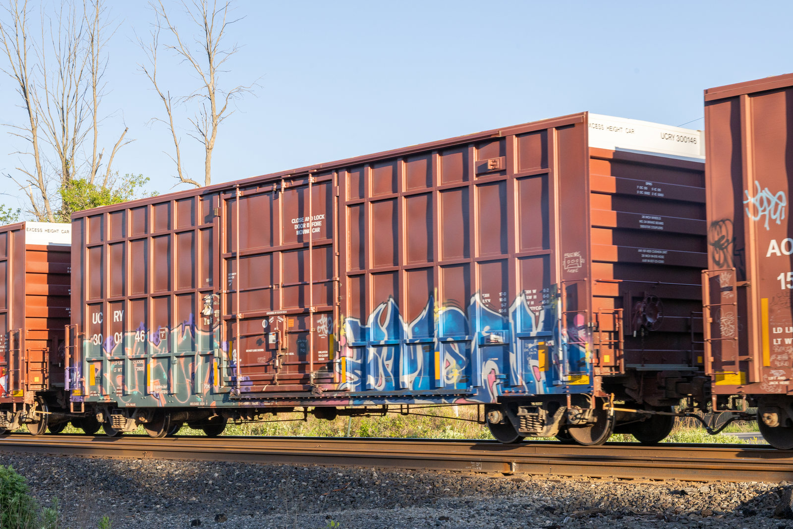UCRY 300146