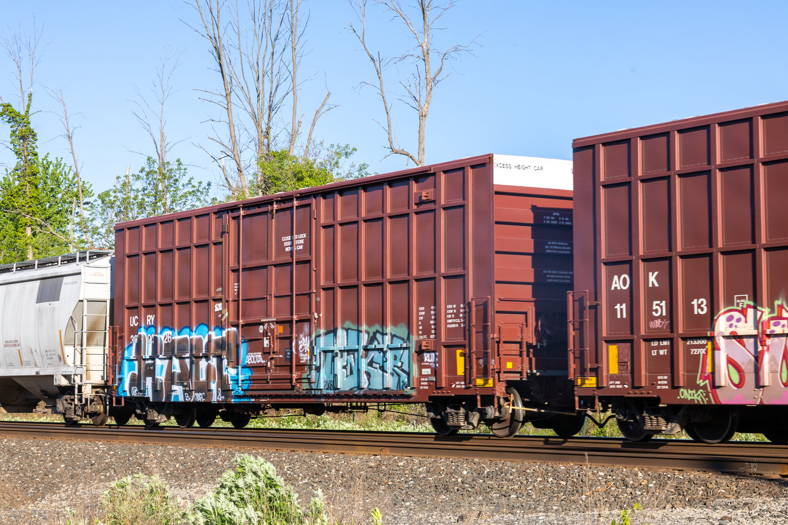 UCRY 300126