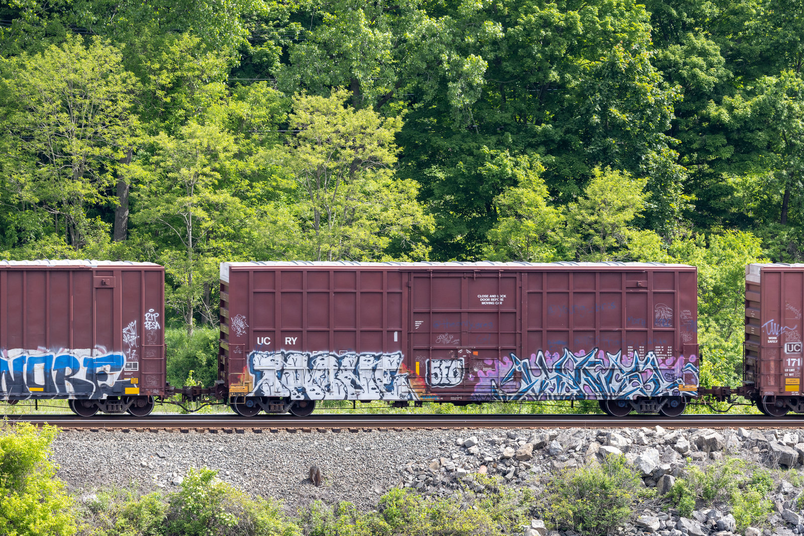 UCRY 300352