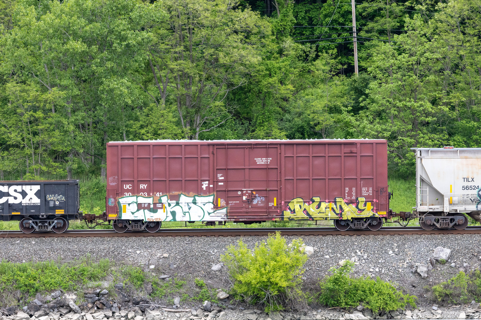 UCRY 300341