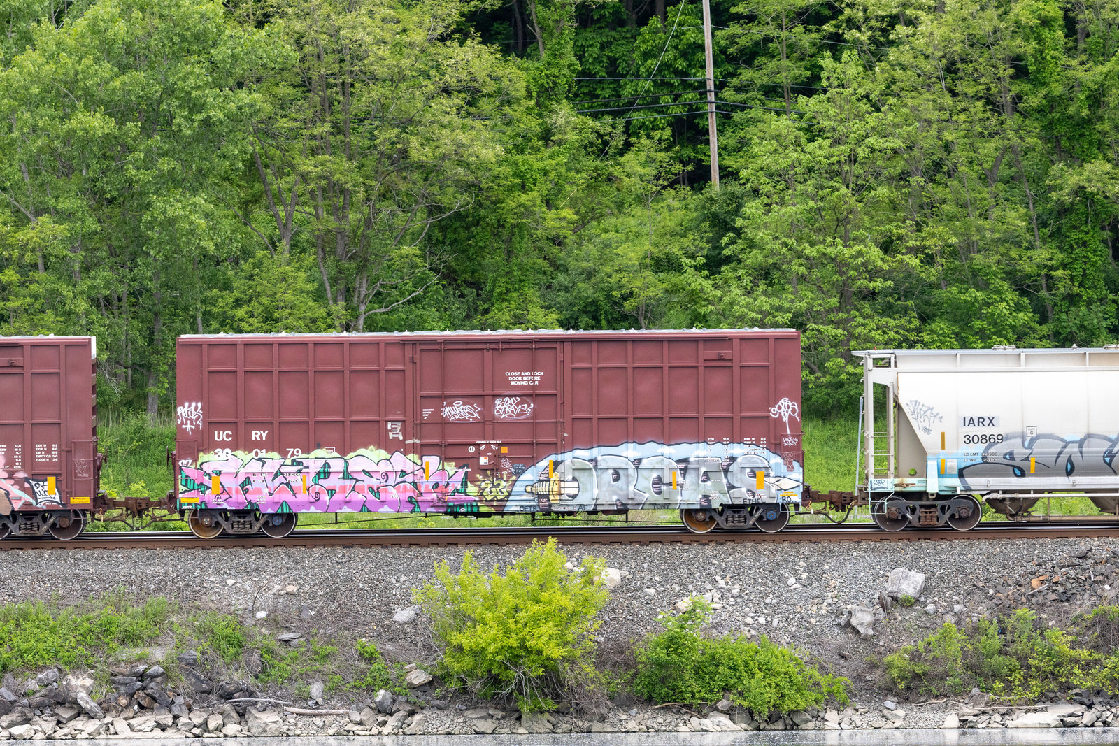 UCRY 300179