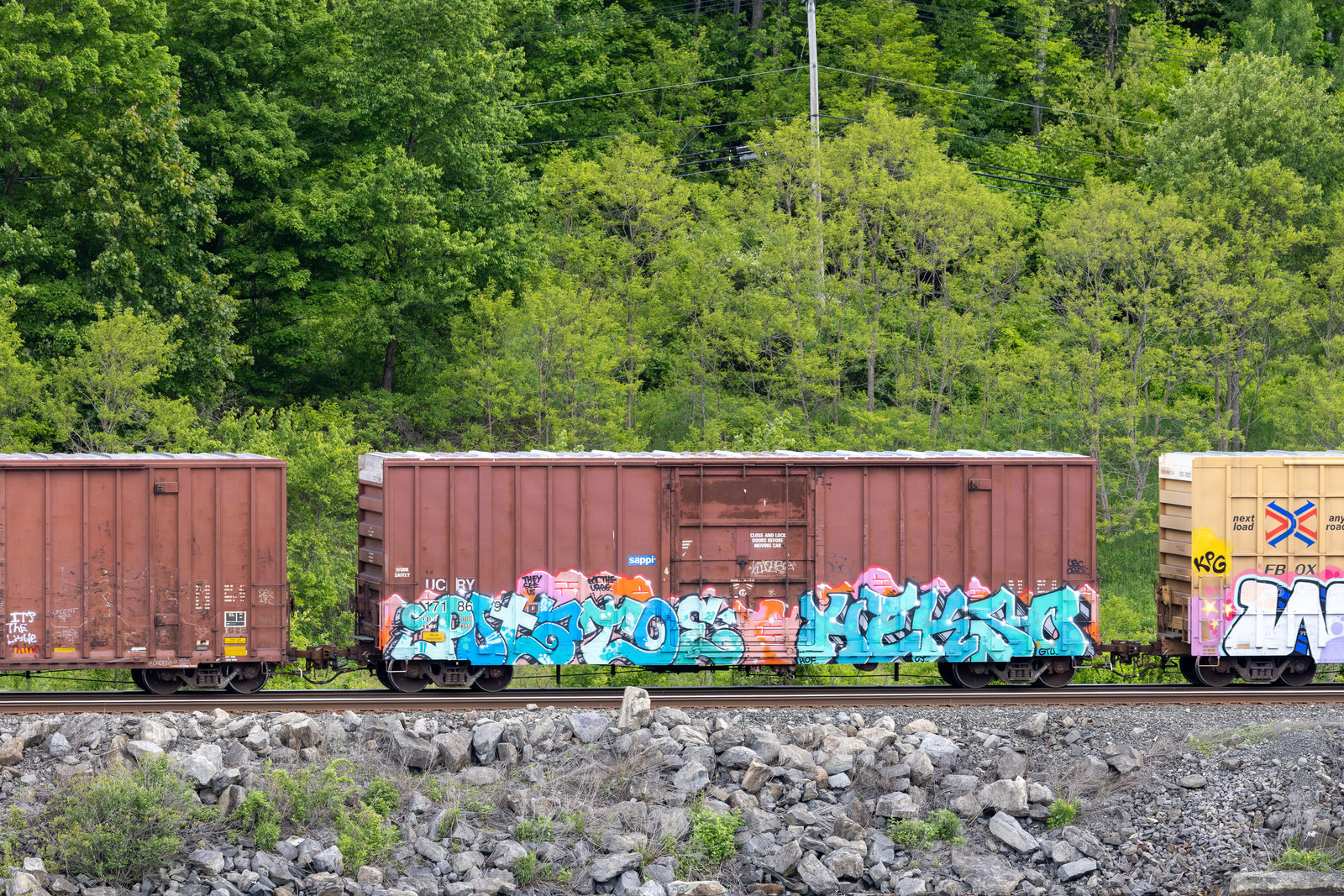 UCRY 171869