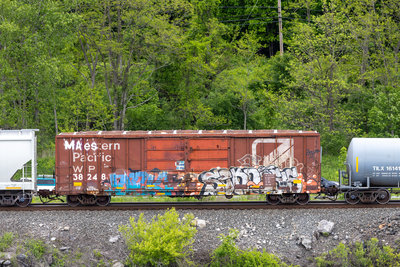 WP 38248