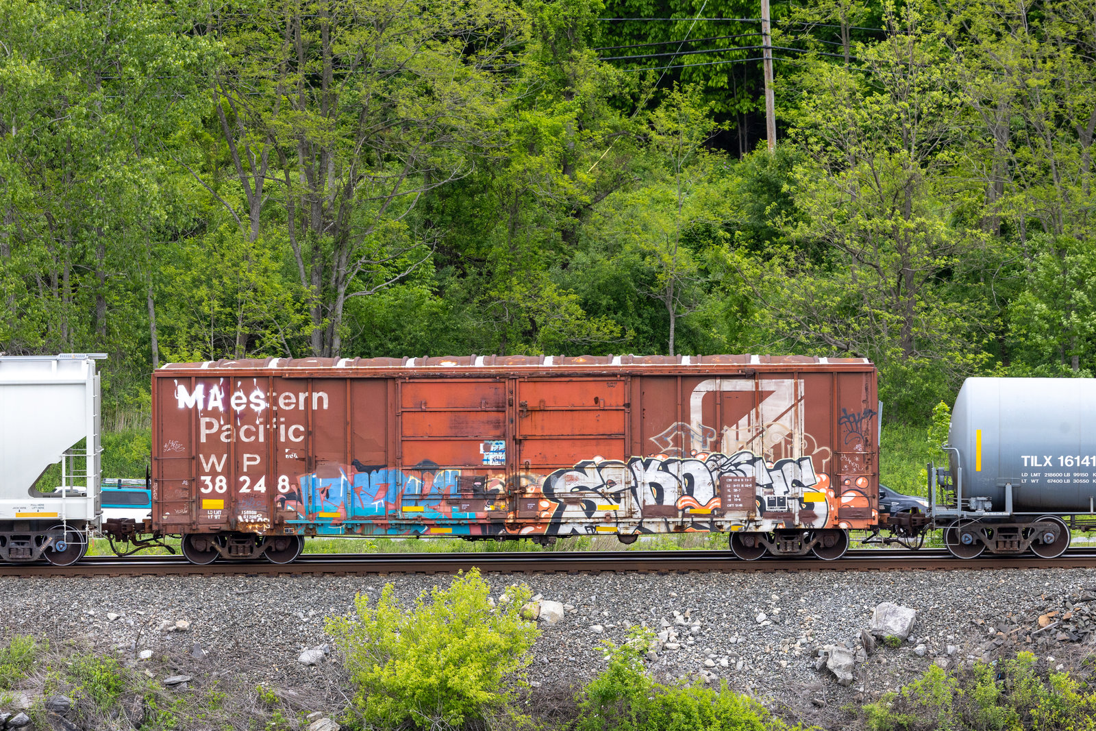 WP 38248