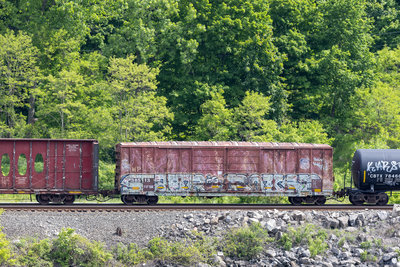 WP 38513