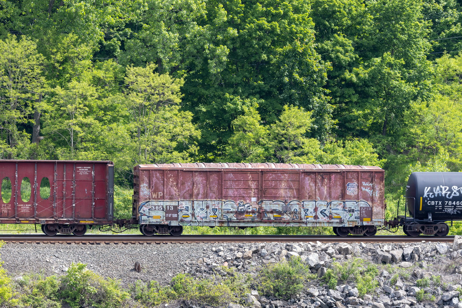 WP 38513